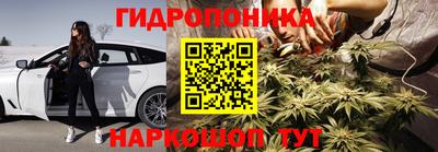 наркотики Кингисепп