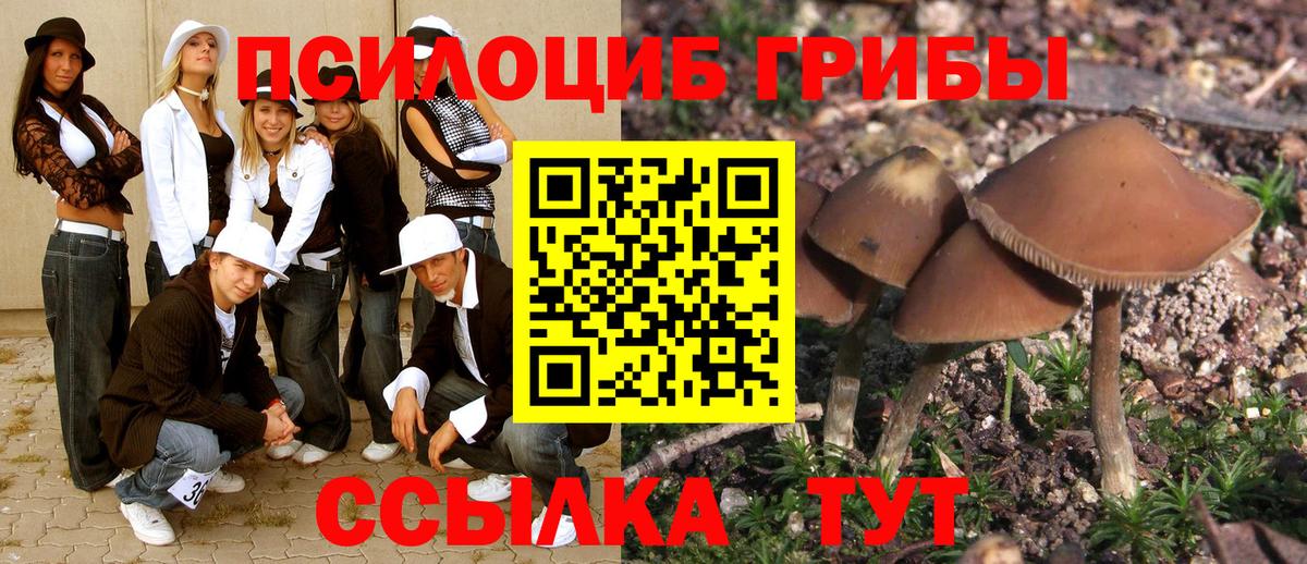 Псилоцибиновые грибы MAGIC MUSHROOMS  Галлюциногенные грибы мицелий  Георгиевск  Вход с VPN 